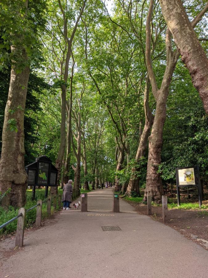 Hampstead 19th Century Village Londres